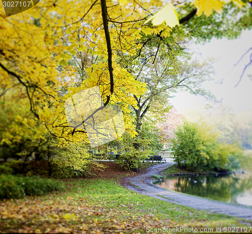 Image of Fall in public park