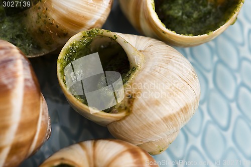 Image of Close up of Escargots with garlic butter 