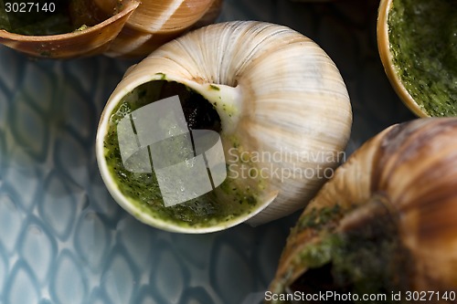 Image of Close up of Escargots with garlic butter 