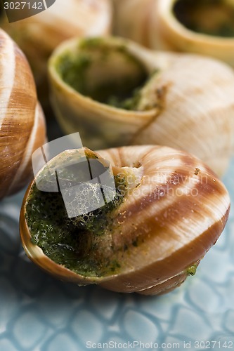 Image of Close up of Escargots with garlic butter 