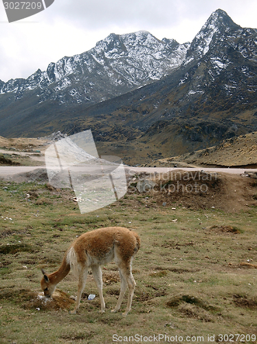 Image of Huancayo