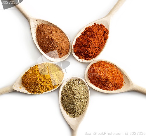 Image of various kinds of spices