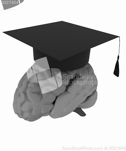 Image of graduation hat on brain