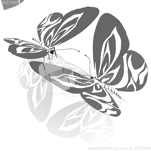 Image of beauty butterflies