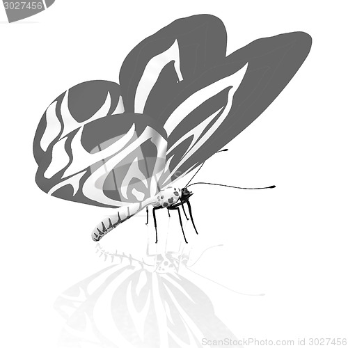 Image of Abstract butterfly design