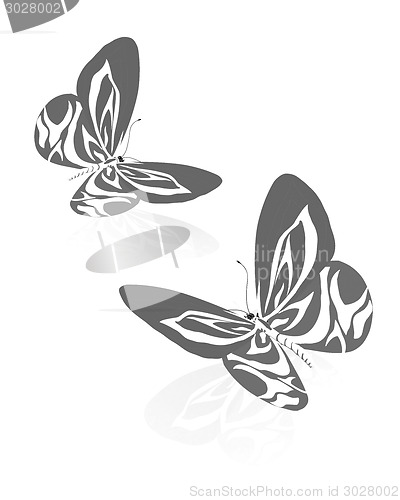 Image of beauty butterflies