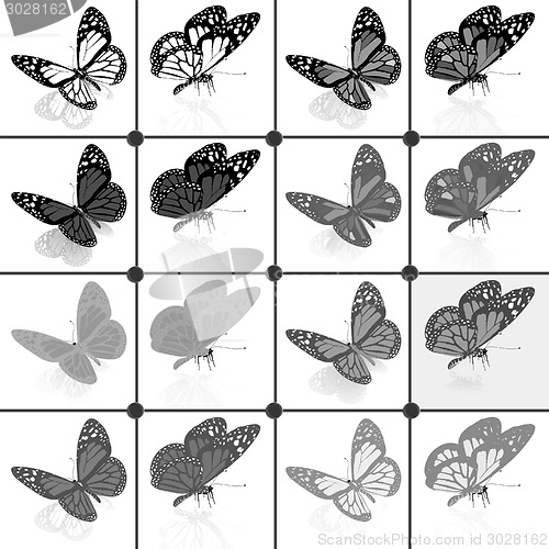 Image of Butterflies botany set