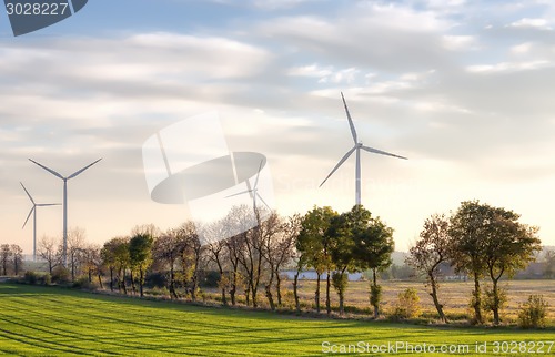 Image of Windmills