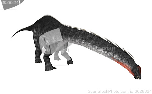 Image of Dinosaur Apatosaurus