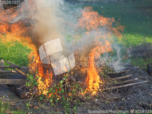 Image of Burning fire