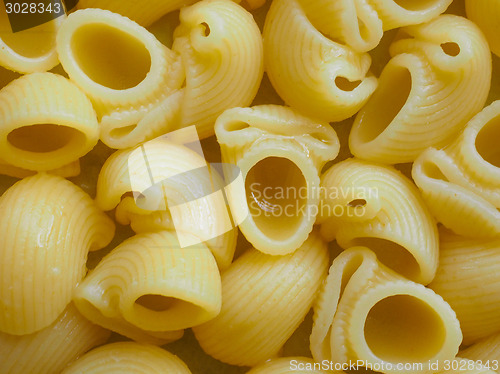 Image of Lumache pasta food