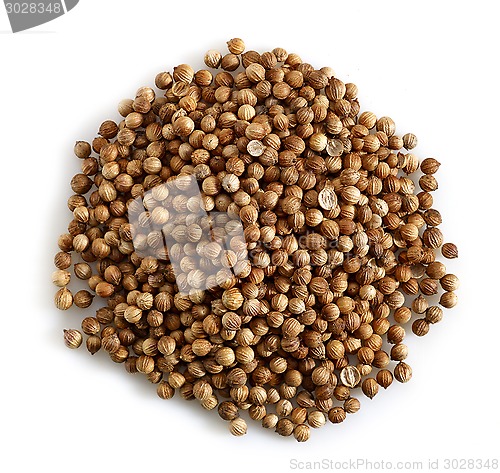 Image of coriander seeds