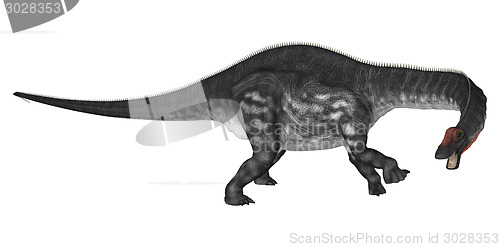 Image of Dinosaur Apatosaurus