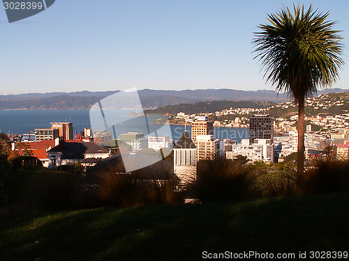 Image of Wellington View