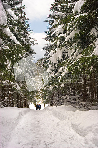 Image of Snow Path