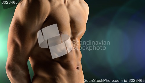 Image of close up of male bodybuilder bare torso