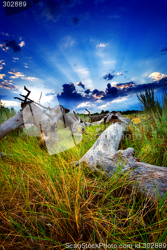 Image of Distant Storm