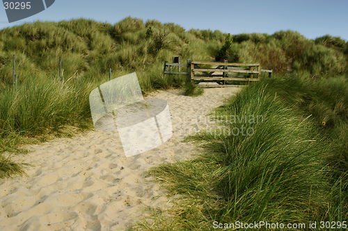 Image of Gate on the Dunes