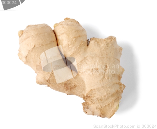 Image of Ginger
