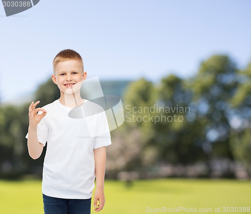 Image of smiling little boy in white blank t-shirt
