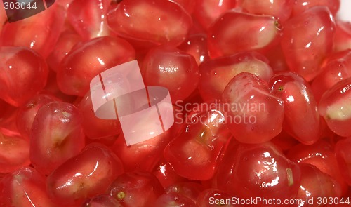 Image of Photo of the juicy red pomegranate seeds