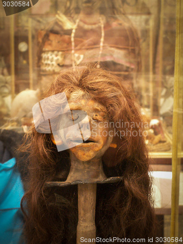 Image of Shrunken Head