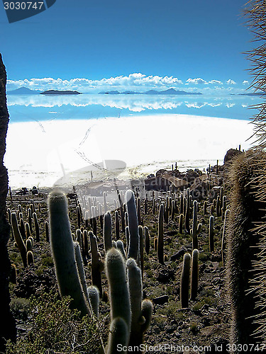 Image of Salar de Uyuni from Fish Island