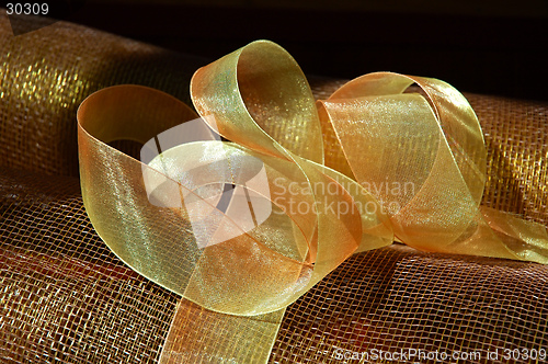 Image of Gossamer Ribbon and Gold Netting