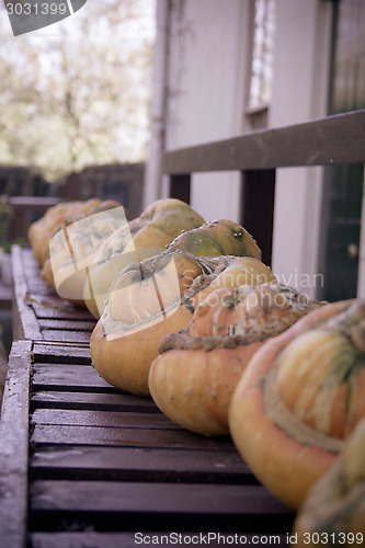 Image of Pumpkins In A Row On Bench
