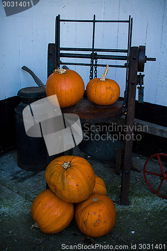 Image of Pumpkins And Farm Tools