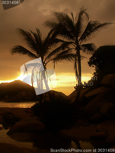 Image of People Watching Beach Sunset