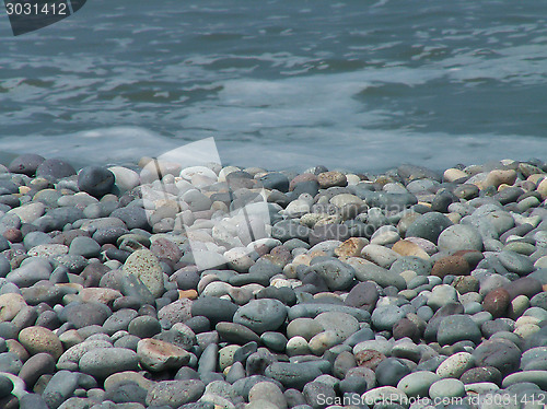 Image of Pebble Beach Macro