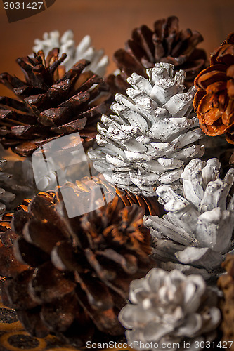 Image of Painted Pine Cones