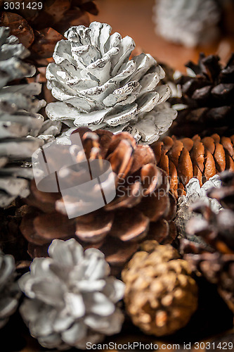 Image of Painted Pine Cones