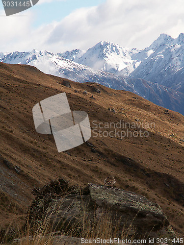 Image of Mountain And Bird