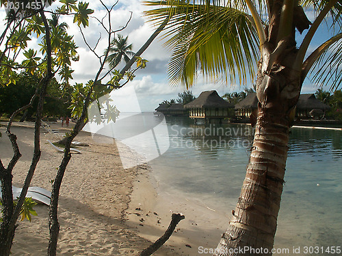 Image of Moorea Beach Huts