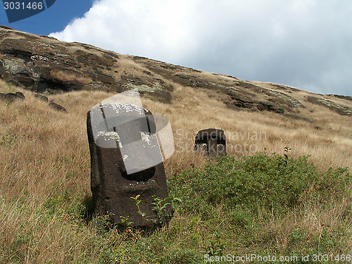 Image of Moai Heads