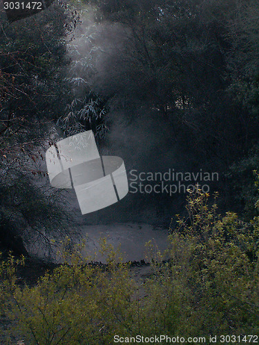 Image of Misty Grey Geyser