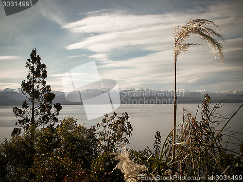 Image of Lake And Mountain Through Foliage