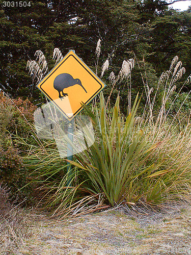 Image of Kiwis Crossing