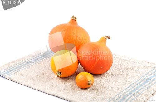 Image of Hokkaido pumpkins