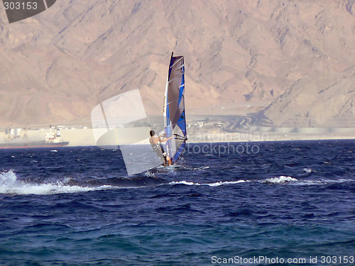 Image of Windsurfer in Red Sea