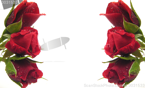 Image of Red roses  on the left and right side build a frame as background
