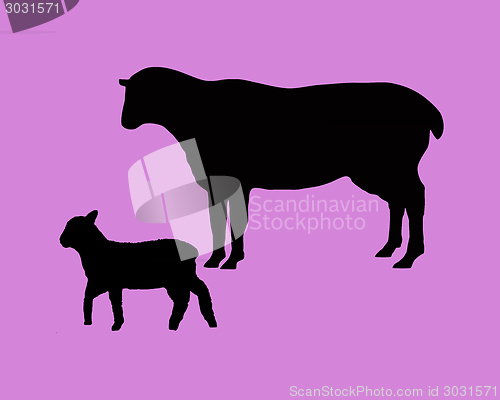 Image of The black silhouettes of a sheep and a lamb on lilac