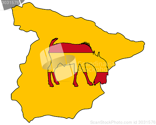 Image of Spanish he-goat