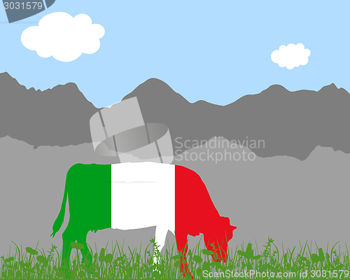 Image of Cow alp and italian flag