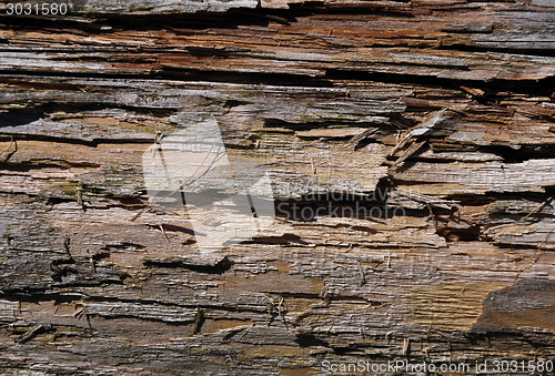 Image of Wooden background