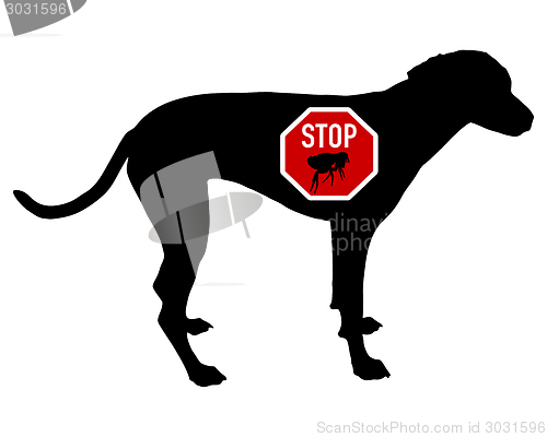 Image of Dog stop sign for fleas