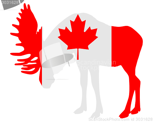 Image of Mosse in flag of canada