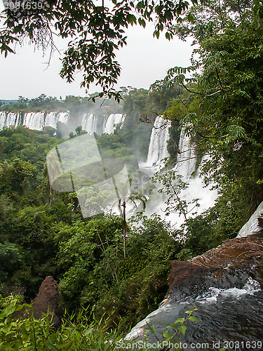 Image of Iguazu Falls Through Foliage